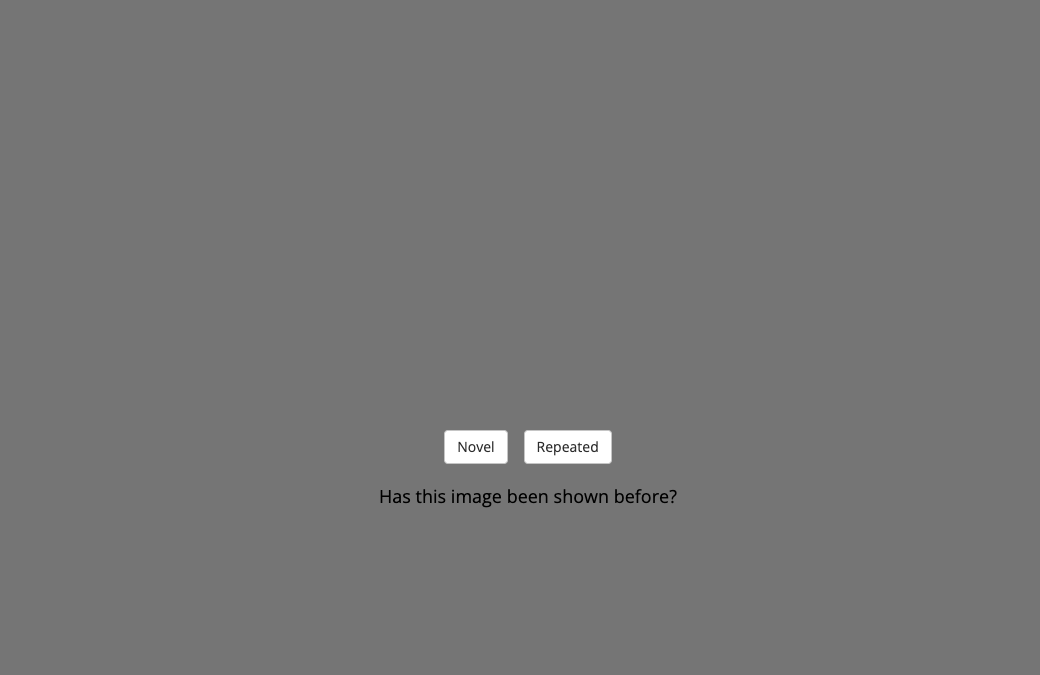 N-Back response screen